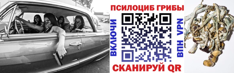 Галлюциногенные грибы прущие грибы  Шарья 